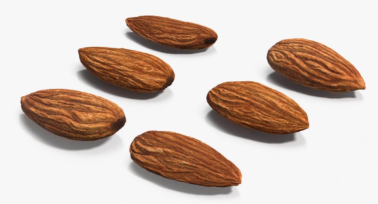 3D model Raw Almonds Set