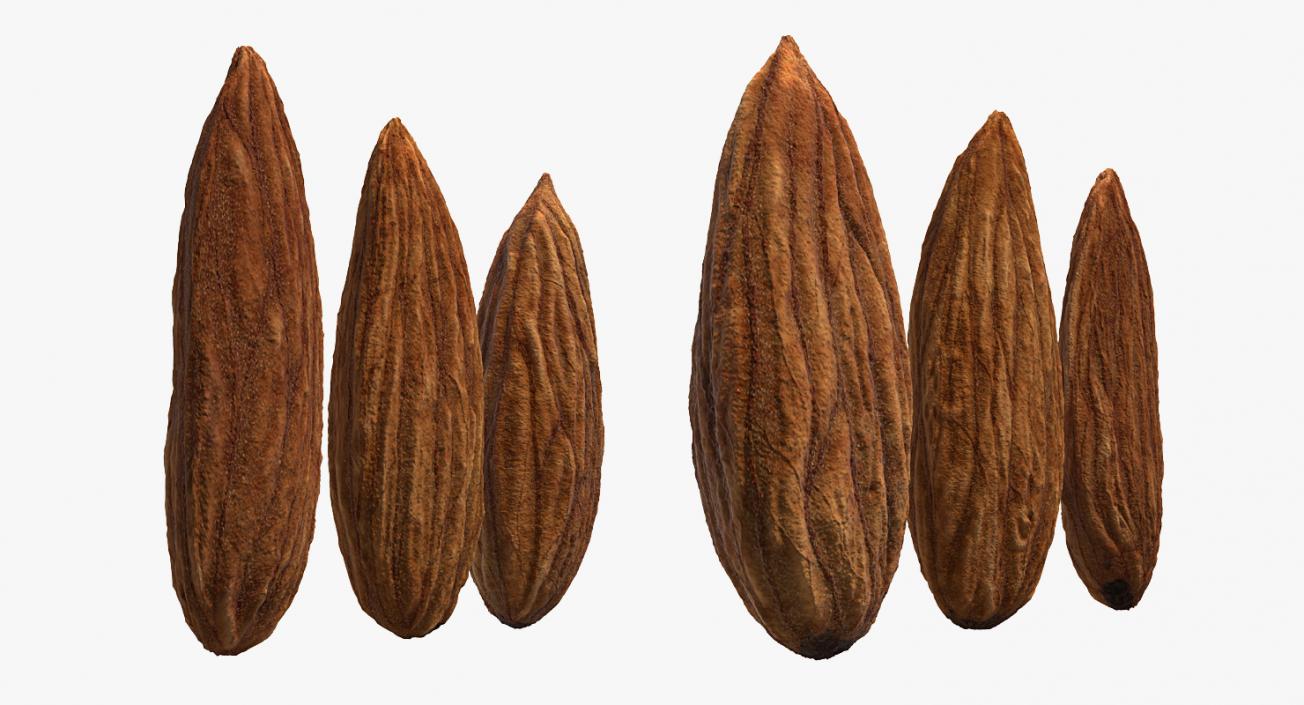 3D model Raw Almonds Set