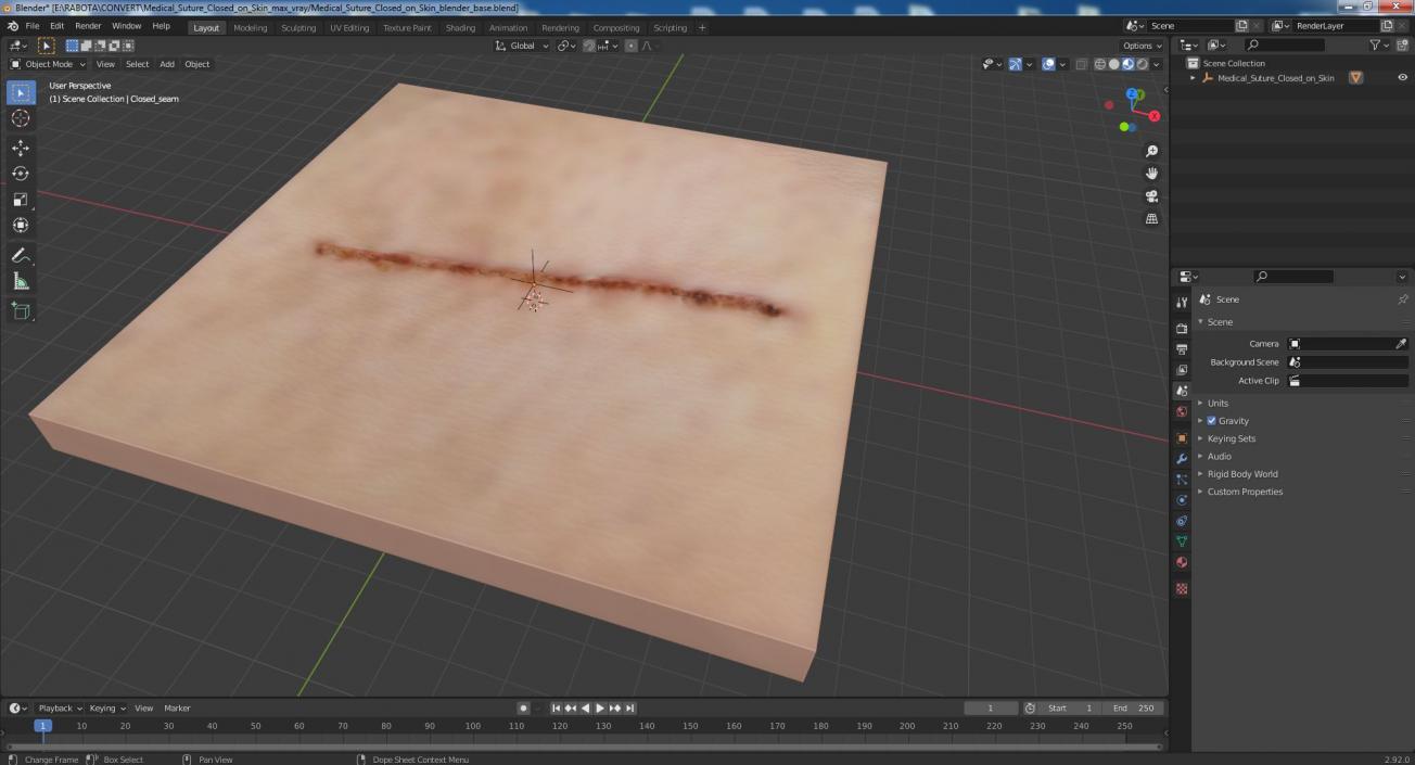 Medical Suture Closed on Skin 3D model