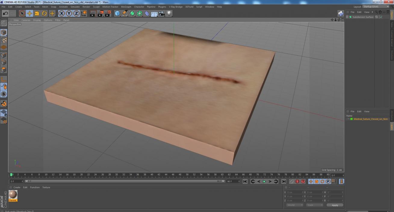 Medical Suture Closed on Skin 3D model