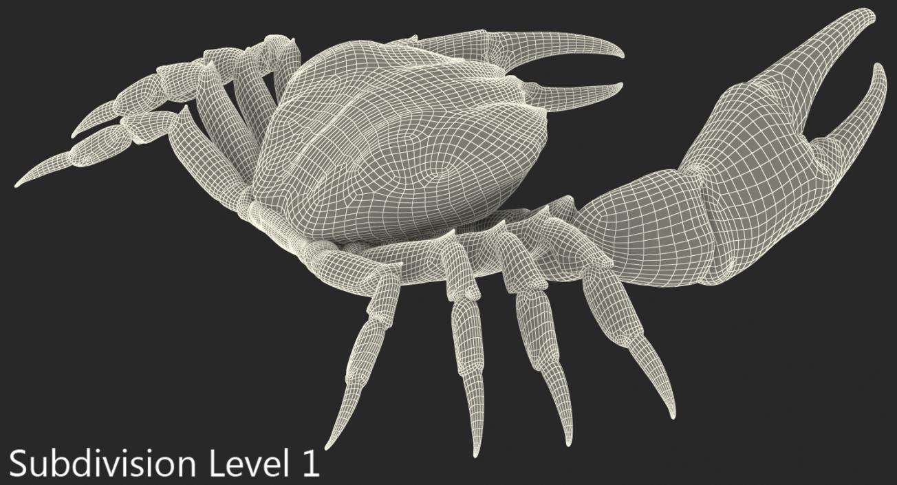 3D model Tasmanian Giant Crab