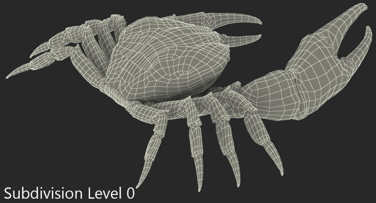 3D model Tasmanian Giant Crab