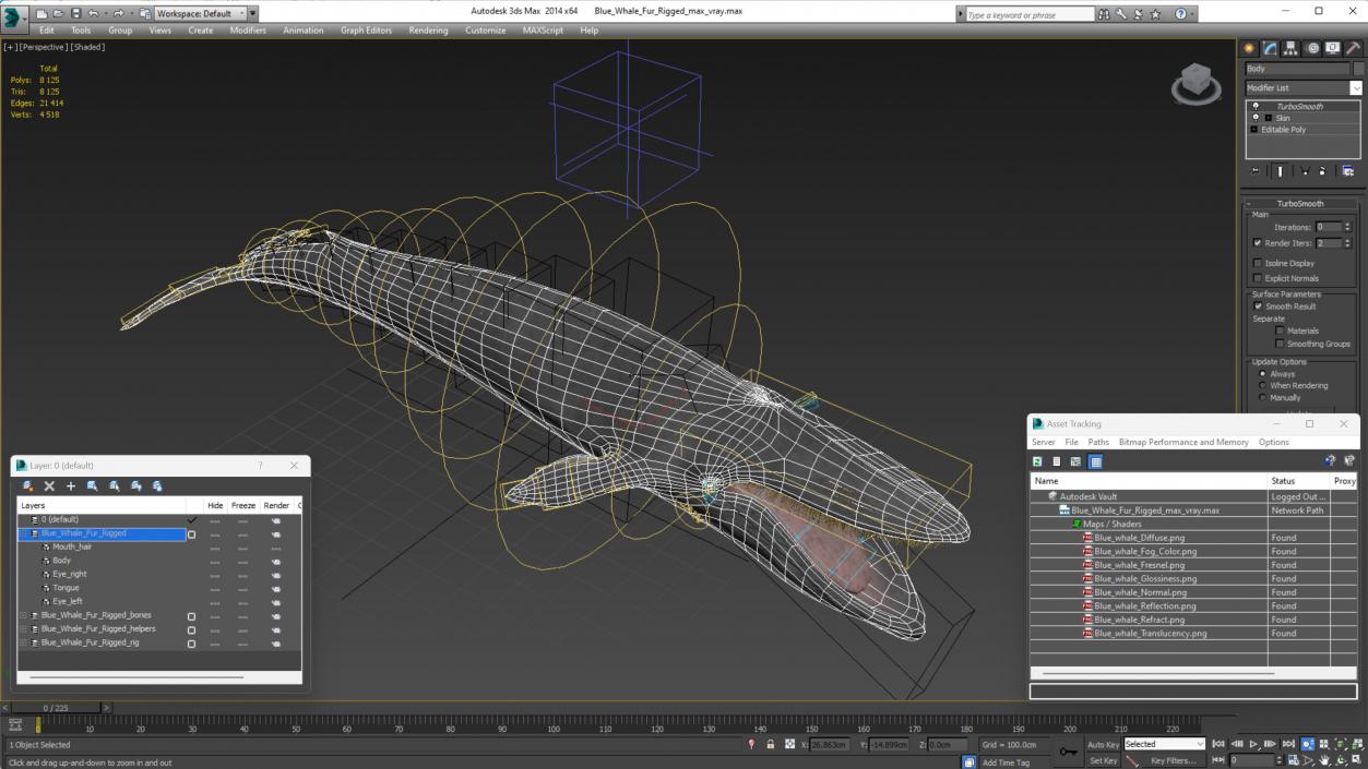 3D Blue Whale Fur Rigged