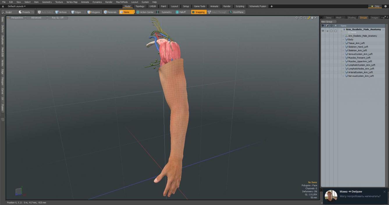 3D Arm Realistic Male Anatomy