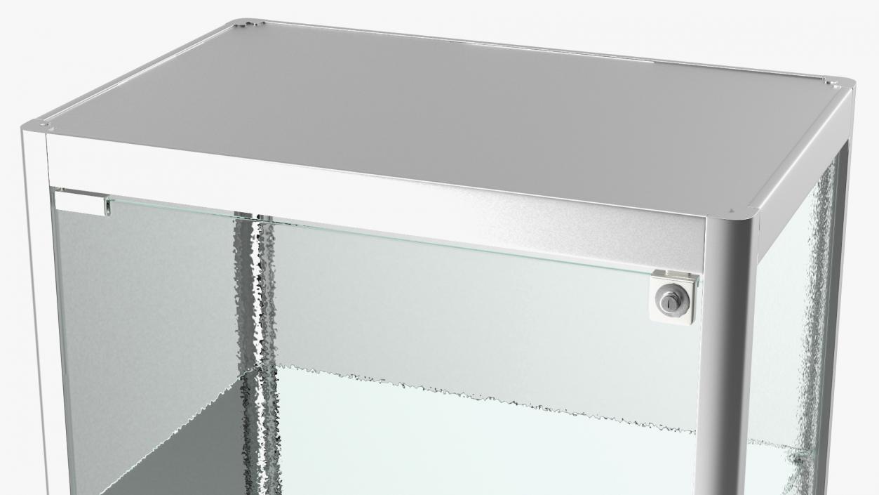 3D model Glass Display Case Wide Silver