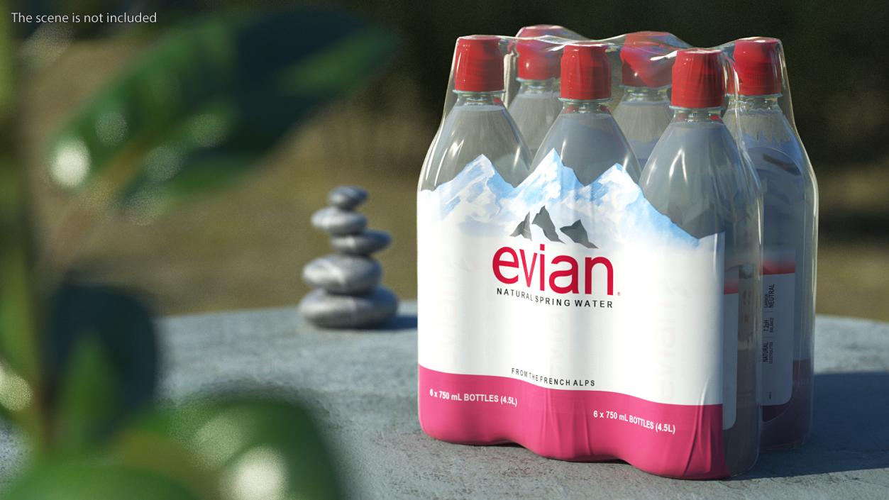 Evian Mineral Water 750ml 6 Bottle Pack 3D model