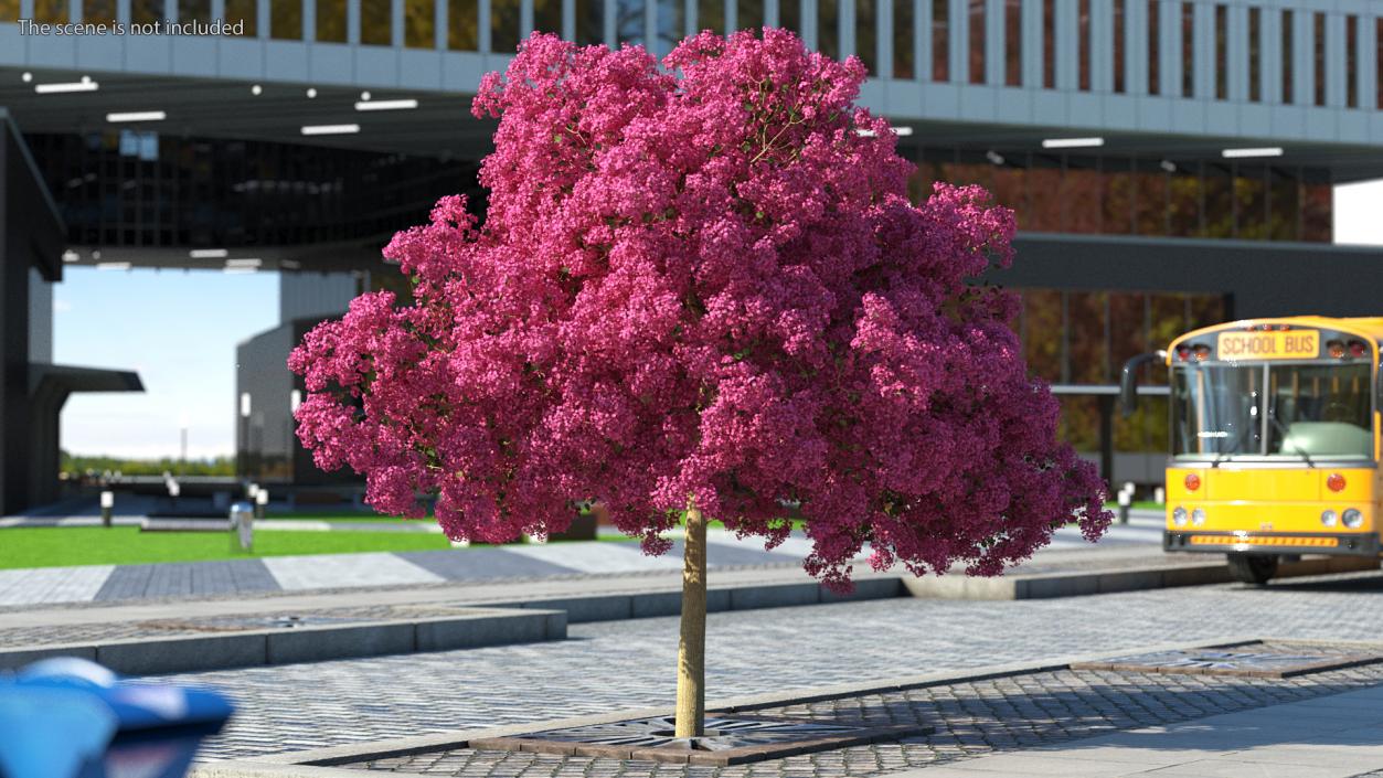 Handroanthus Impetiginosus Foliage 3D model