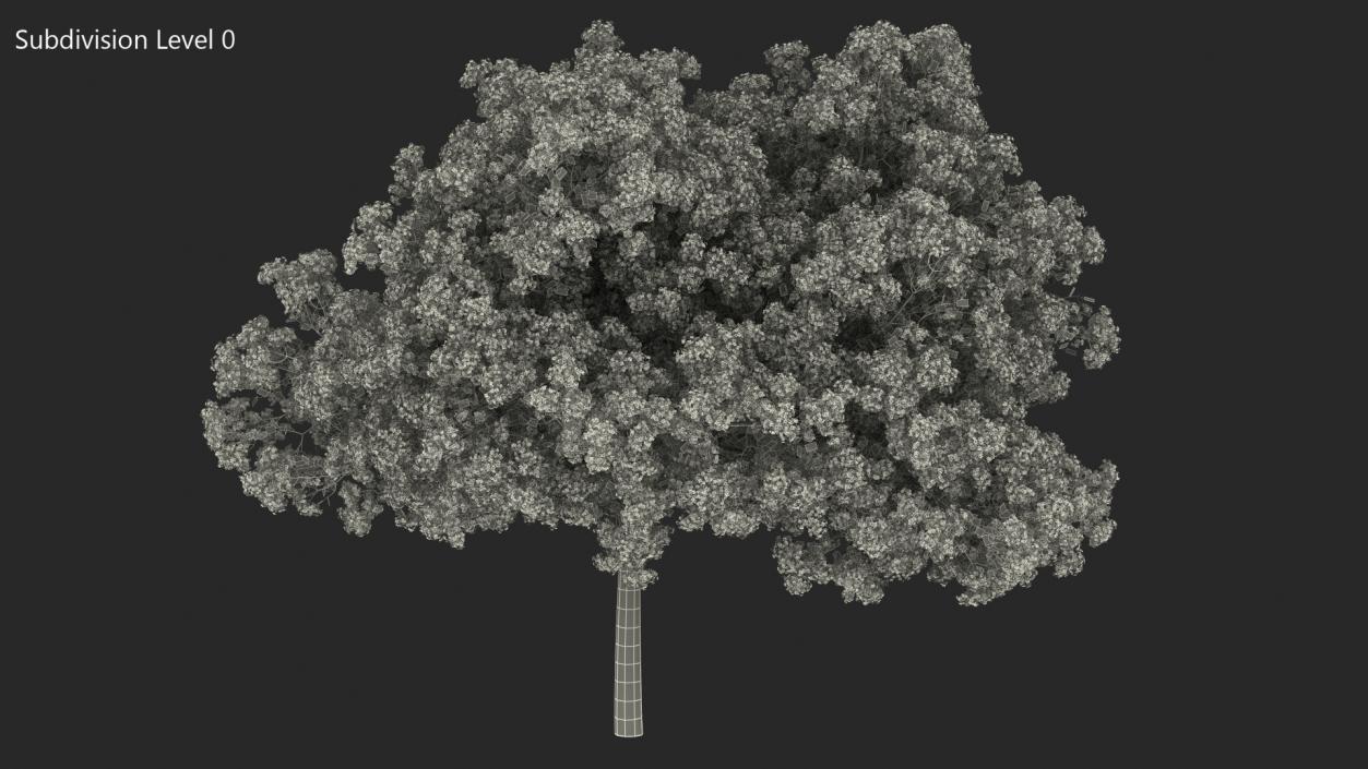 Handroanthus Impetiginosus Foliage 3D model