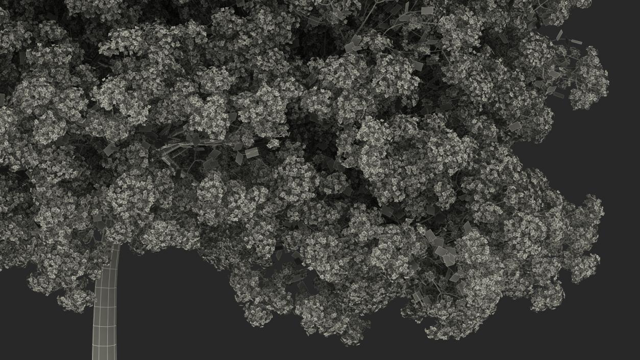 Handroanthus Impetiginosus Foliage 3D model