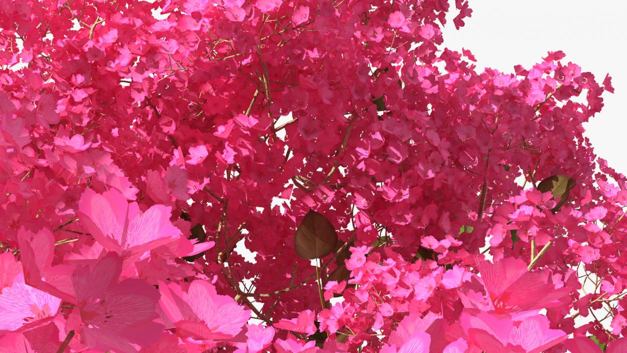 Handroanthus Impetiginosus Foliage 3D model