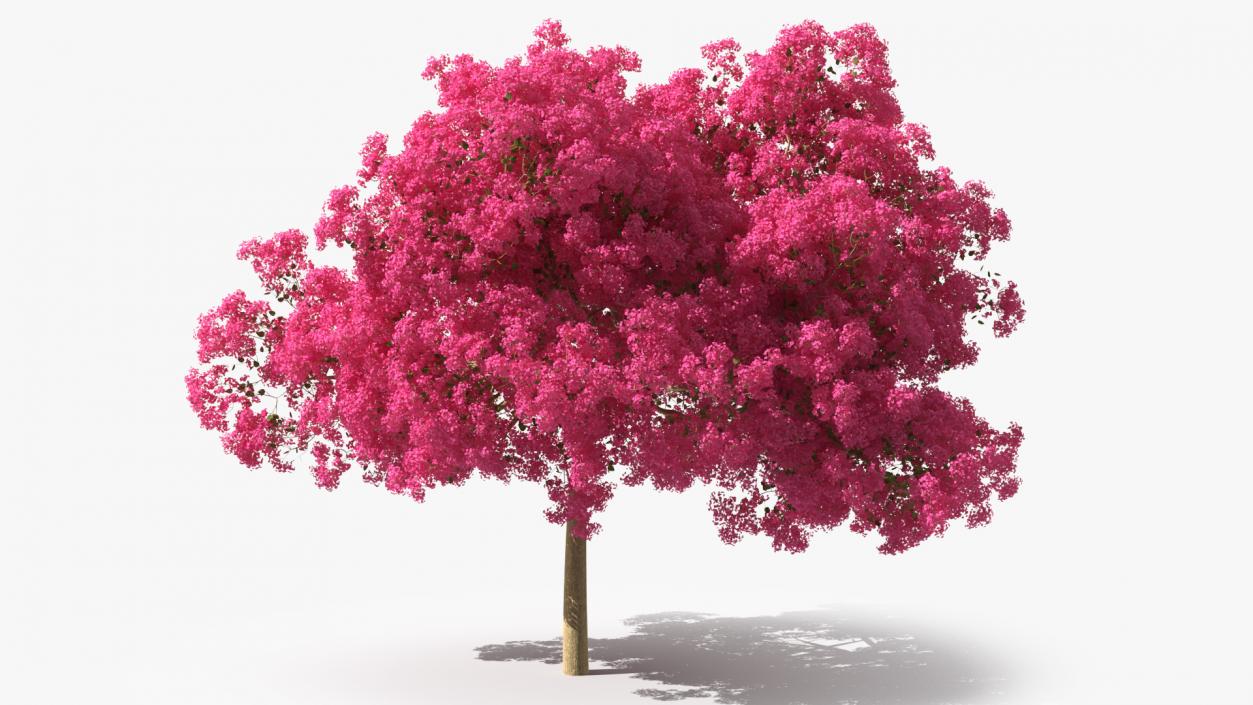 Handroanthus Impetiginosus Foliage 3D model