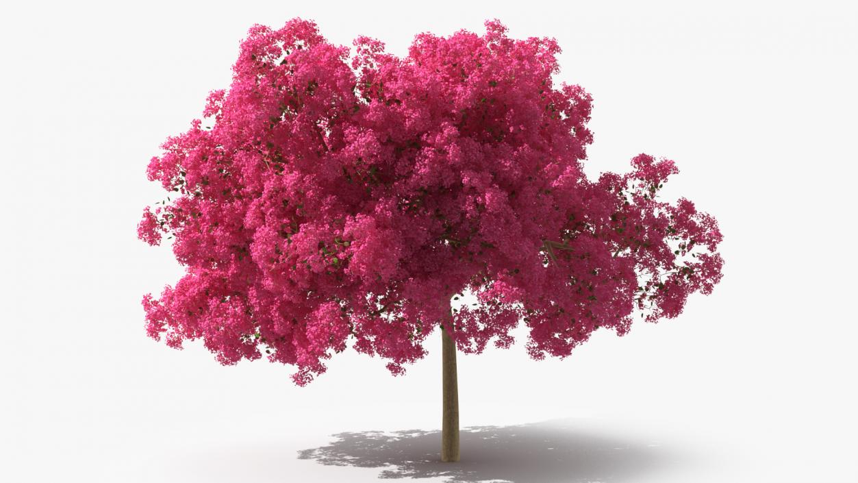 Handroanthus Impetiginosus Foliage 3D model