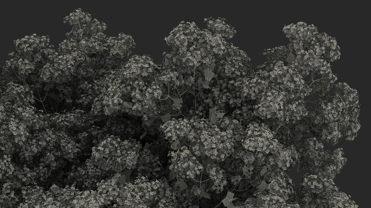 Handroanthus Impetiginosus Foliage 3D model