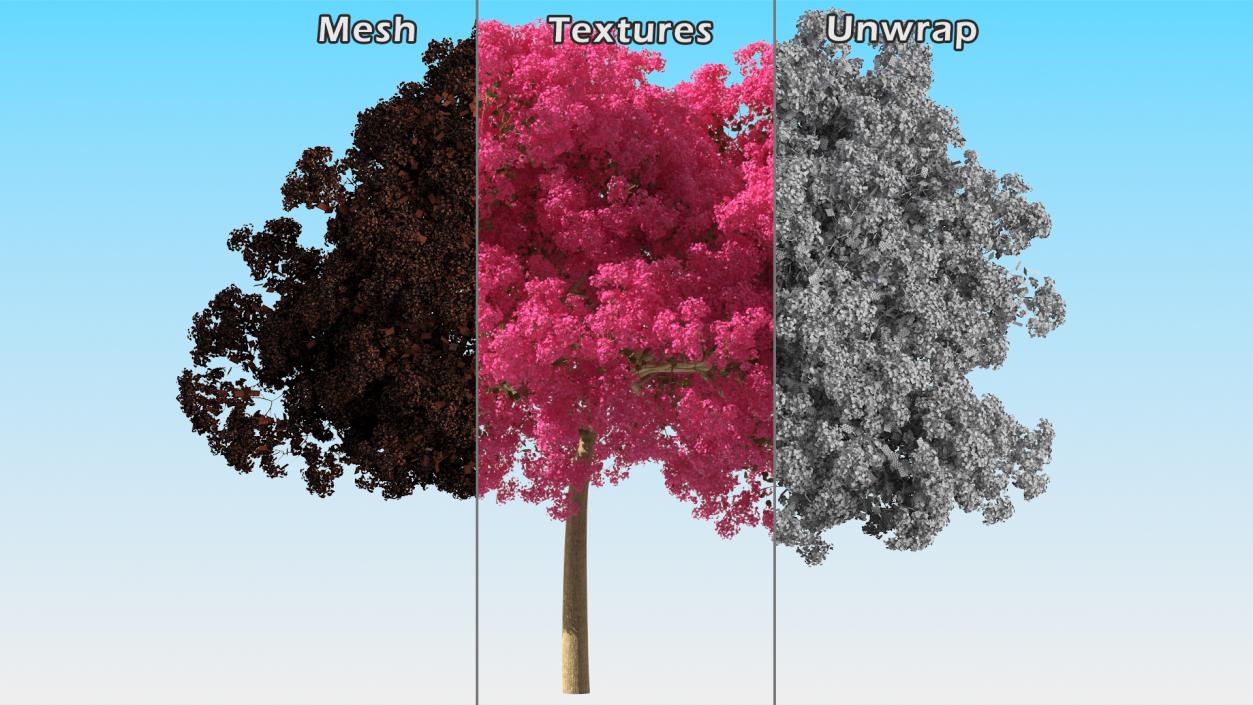 Handroanthus Impetiginosus Foliage 3D model