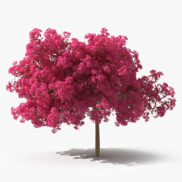 Handroanthus Impetiginosus Foliage 3D model