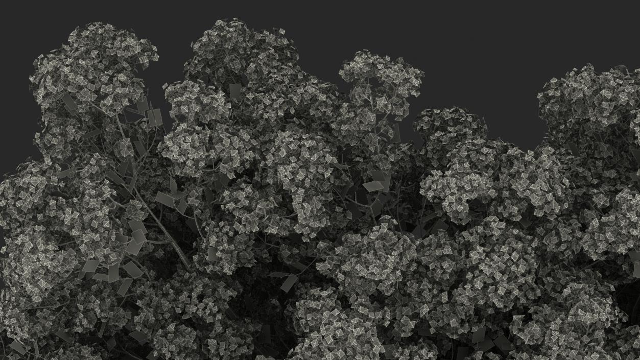 Handroanthus Impetiginosus Foliage 3D model