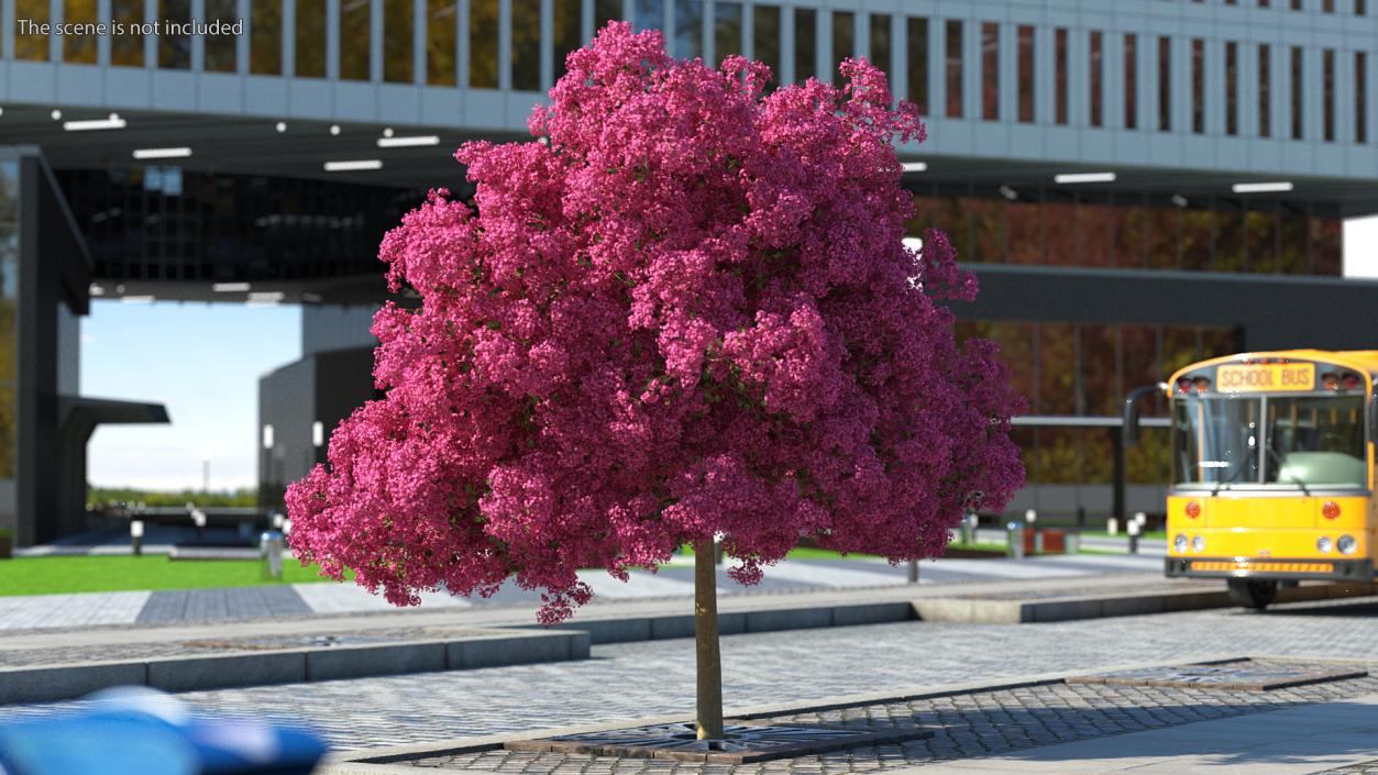 Handroanthus Impetiginosus Foliage 3D model