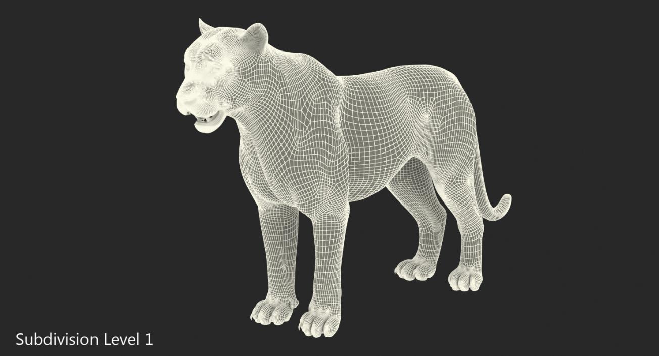 3D model White Tiger with Fur