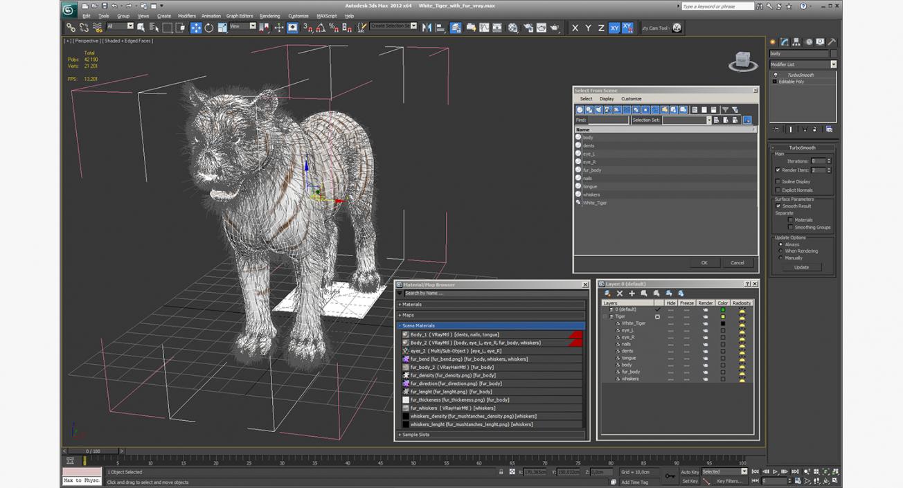 3D model White Tiger with Fur