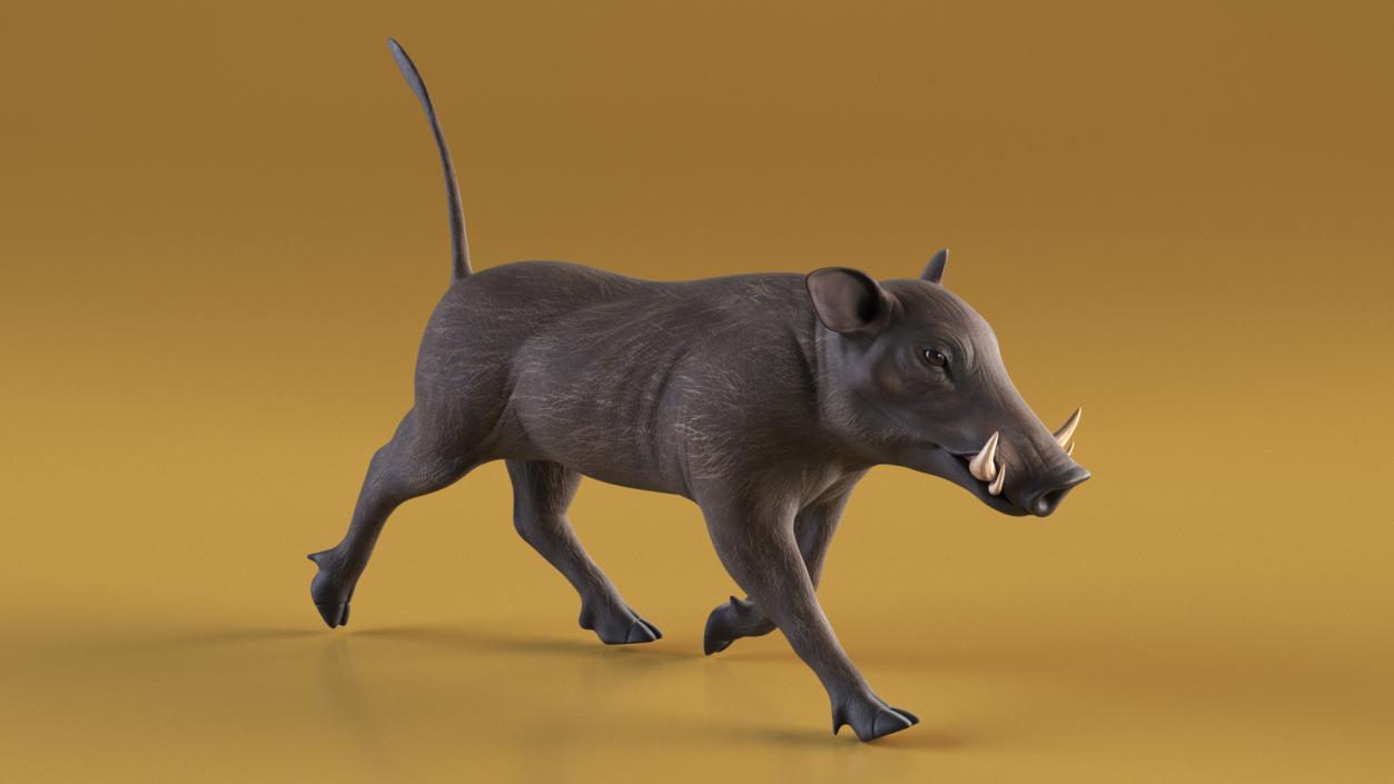 3D model Phacochoerus Africanus Walking Pose