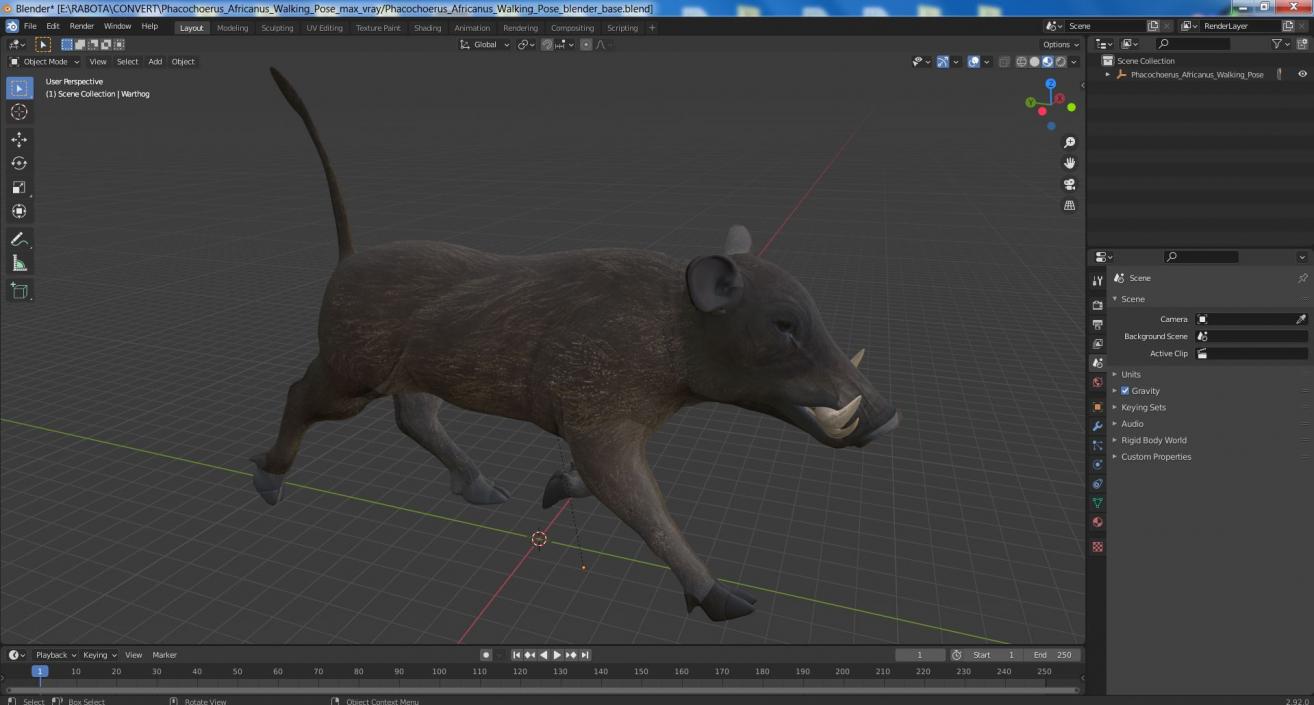 3D model Phacochoerus Africanus Walking Pose