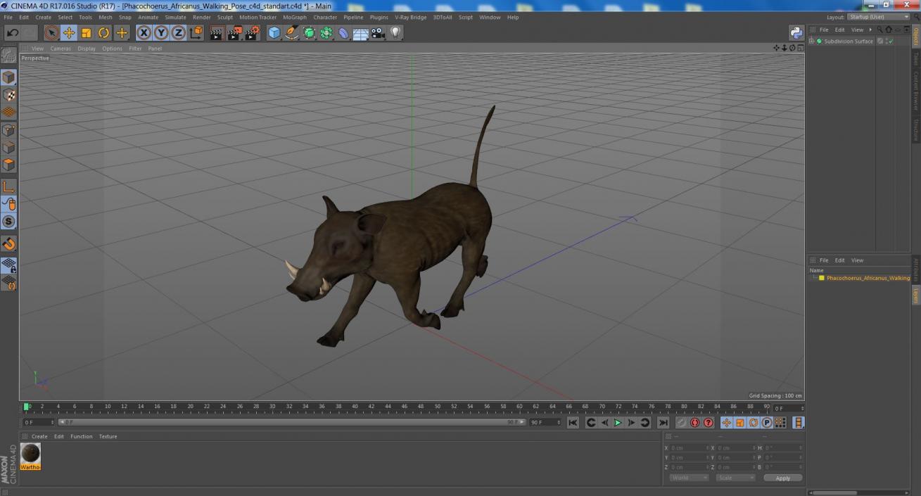 3D model Phacochoerus Africanus Walking Pose