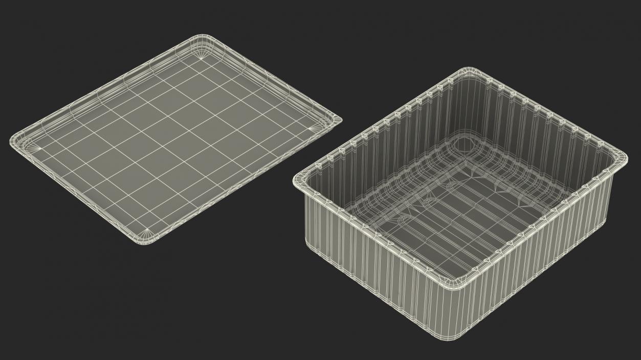 3D Rectangular Plastic Food Tray with Lid 32x26cm