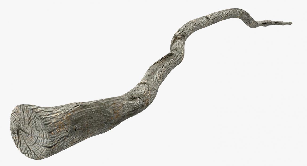 3D model Dry Tree Branch