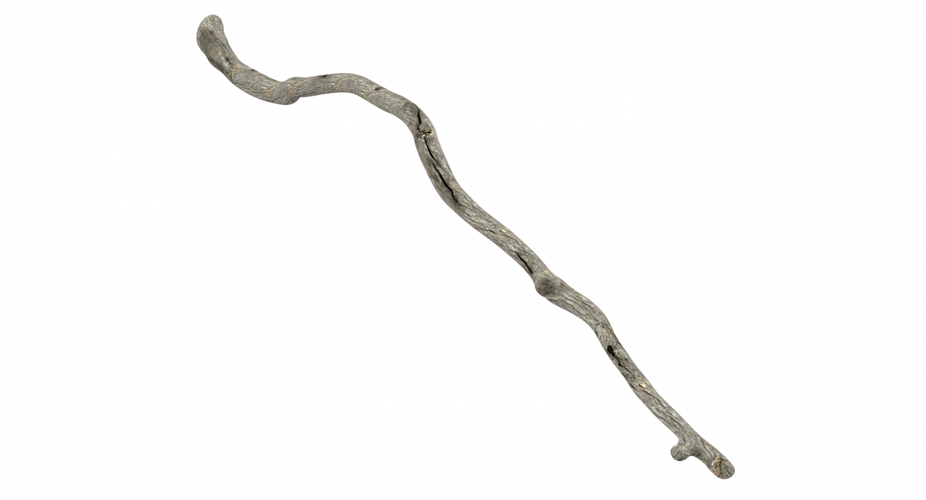 3D model Dry Tree Branch