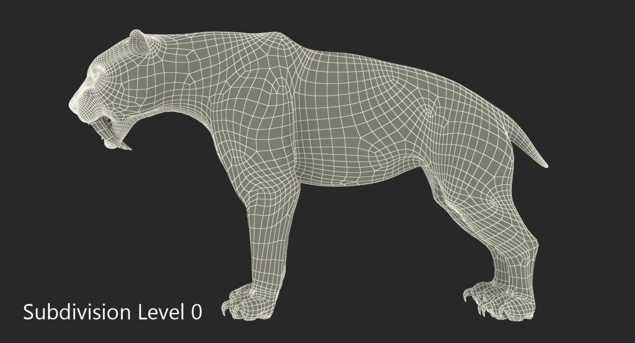 Saber Tooth Tiger 3D