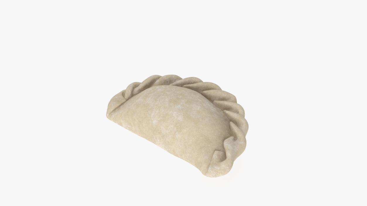 Pierogi Dumpling Raw 2 3D