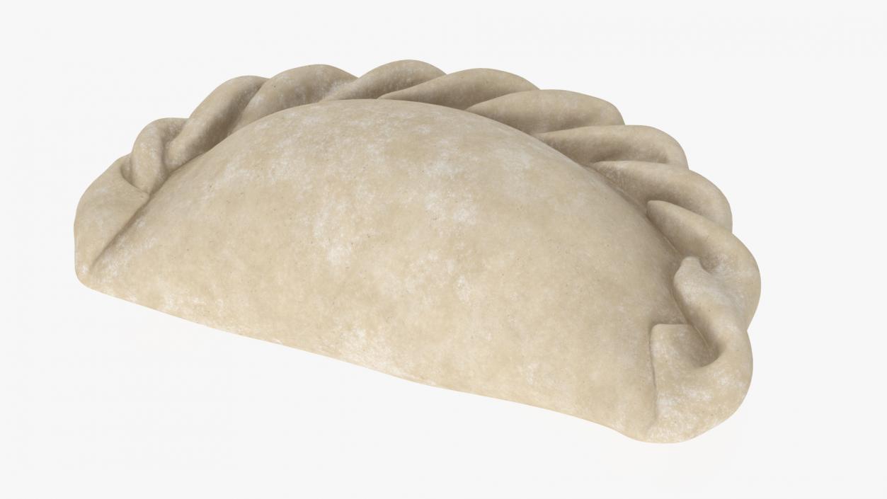 Pierogi Dumpling Raw 2 3D