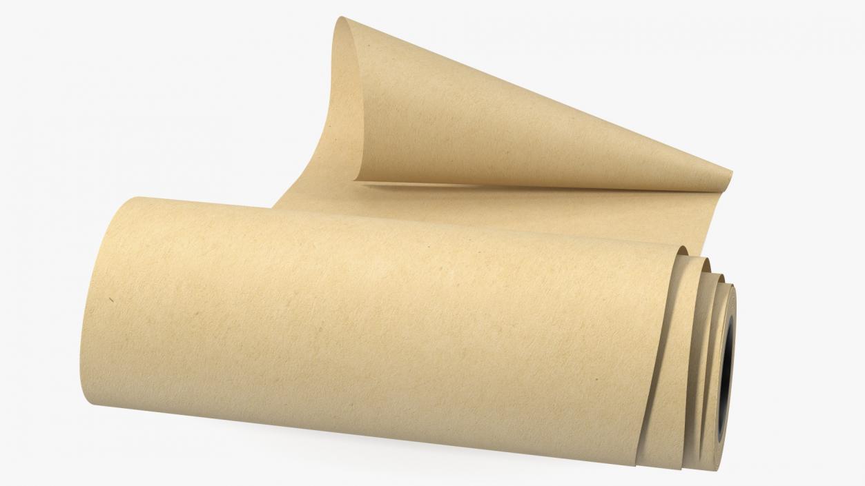 3D Roll of Kraft Paper Unfolded model