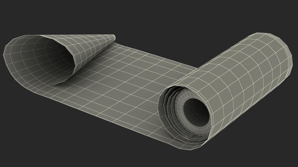 3D Roll of Kraft Paper Unfolded model