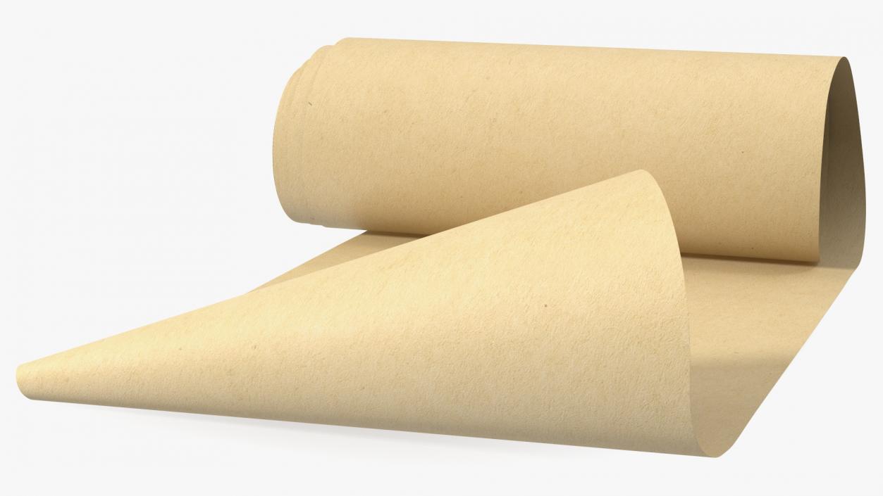 3D Roll of Kraft Paper Unfolded model