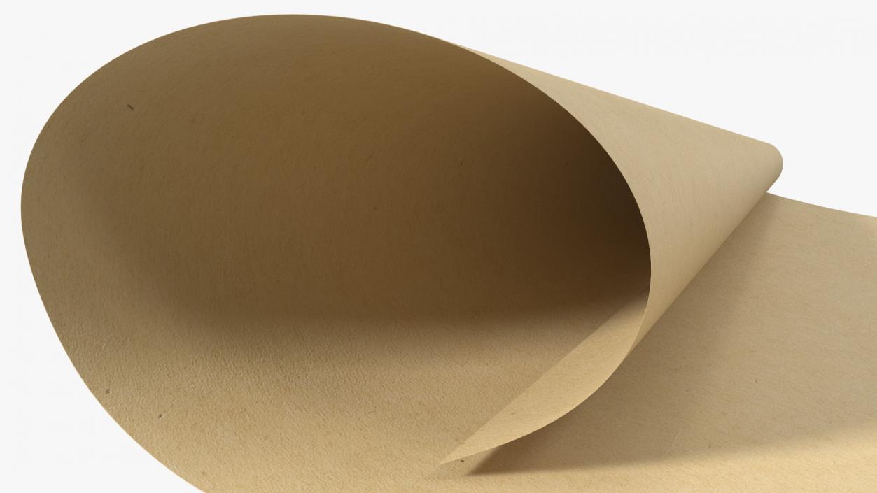 3D Roll of Kraft Paper Unfolded model