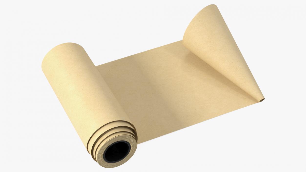 3D Roll of Kraft Paper Unfolded model