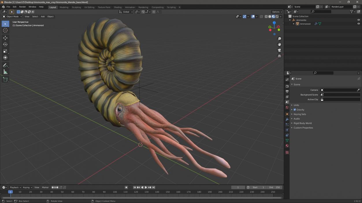 3D model Ammonite