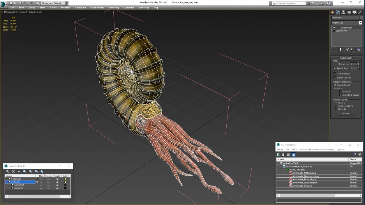 3D model Ammonite