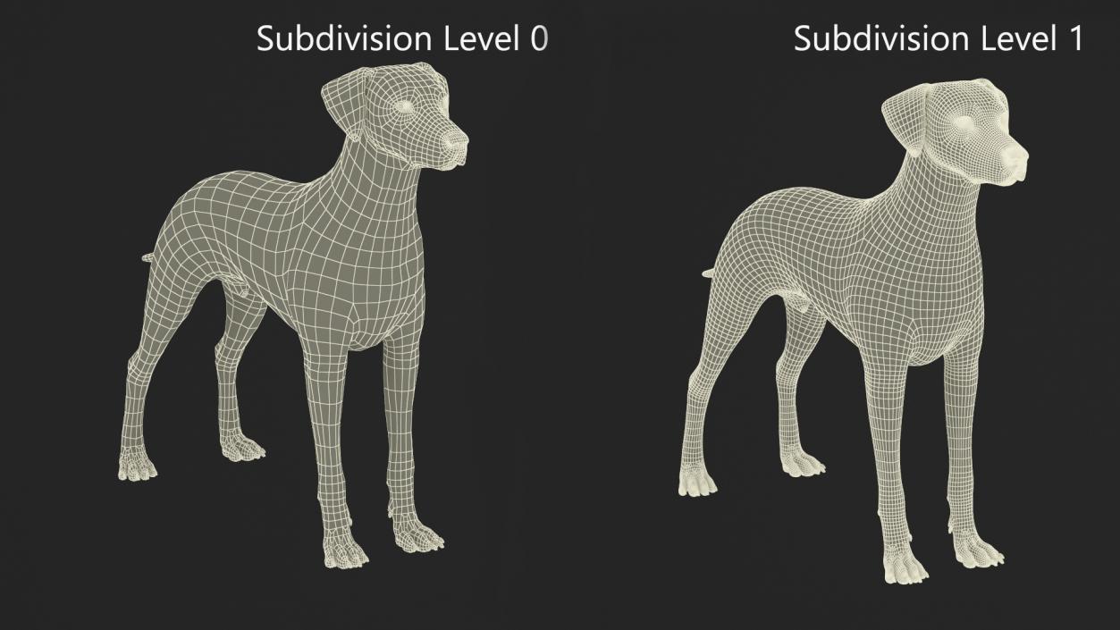 3D Dalmatian Dog Fur Animated Rigged model