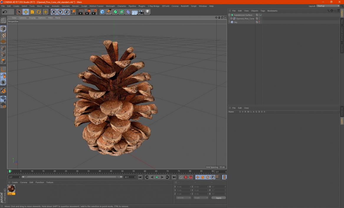 3D Opened Pine Cone