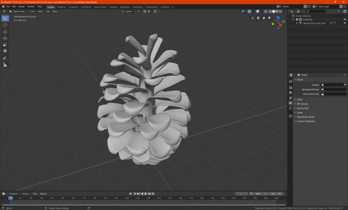 3D Opened Pine Cone