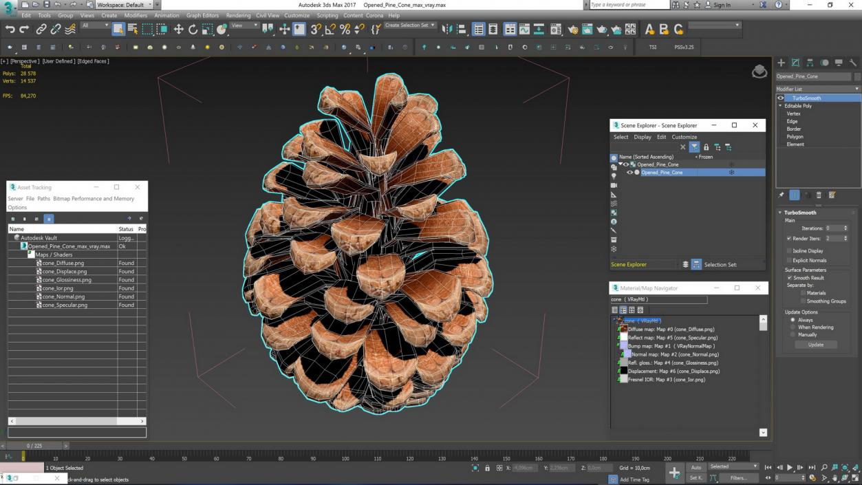 3D Opened Pine Cone