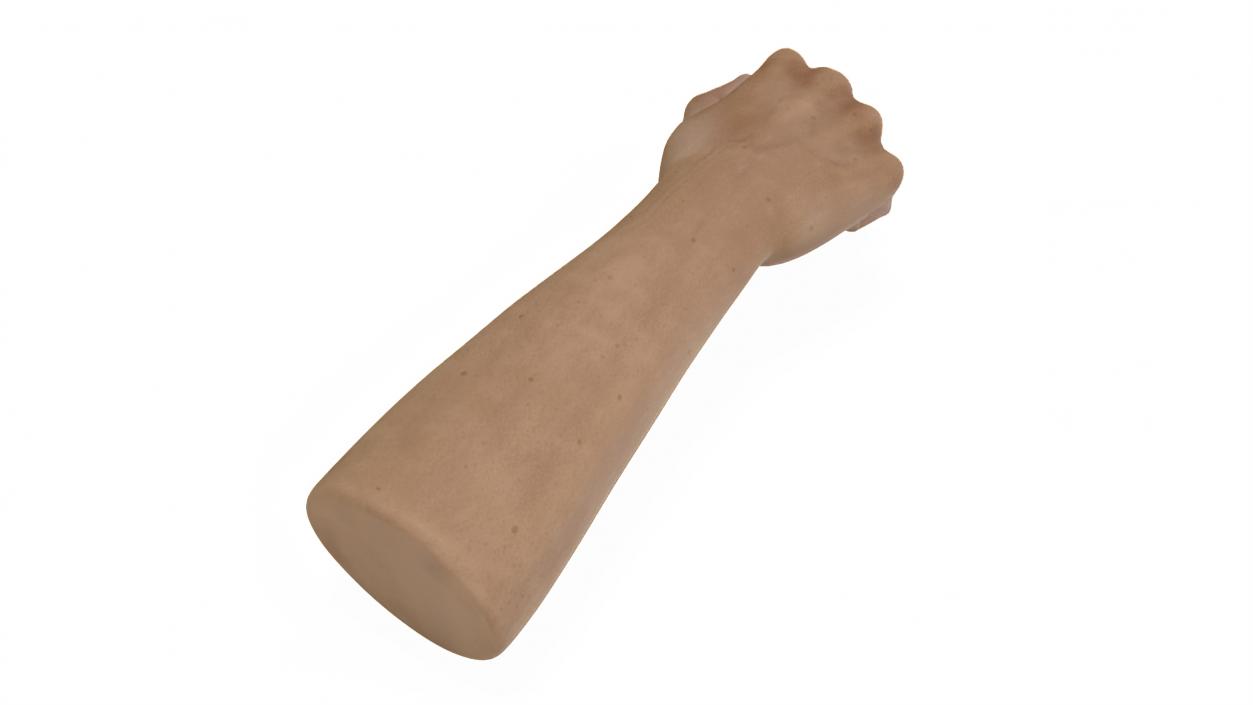 3D Caucasian Man Hand Fist model