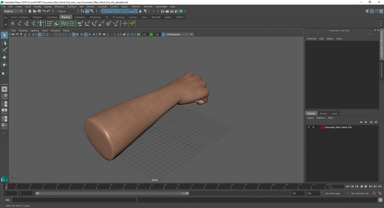 3D Caucasian Man Hand Fist model