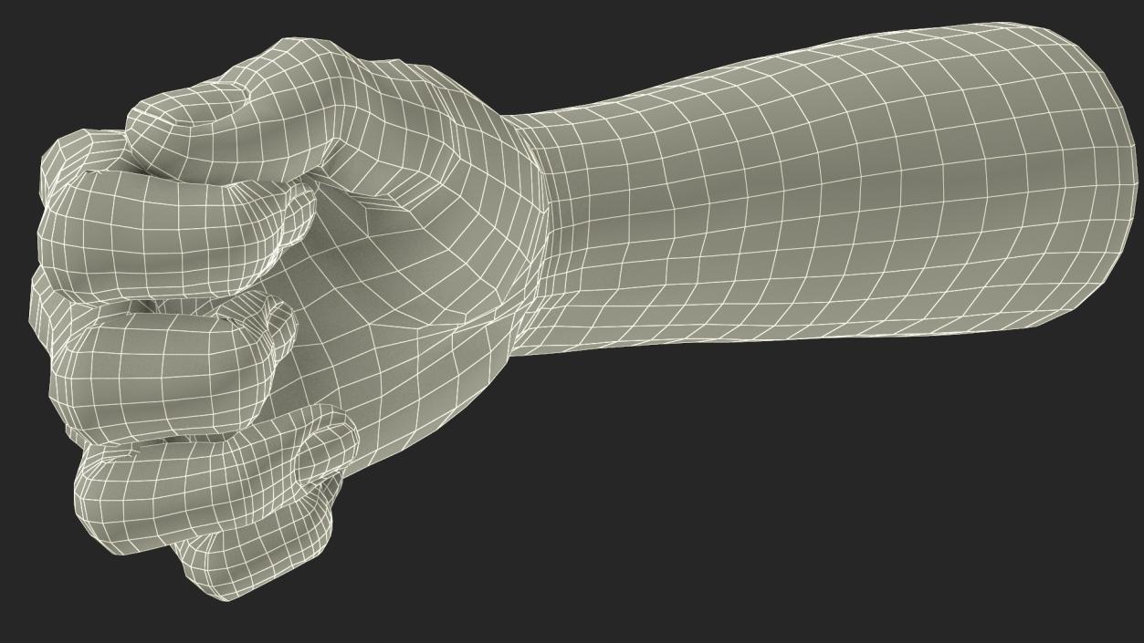 3D Caucasian Man Hand Fist model