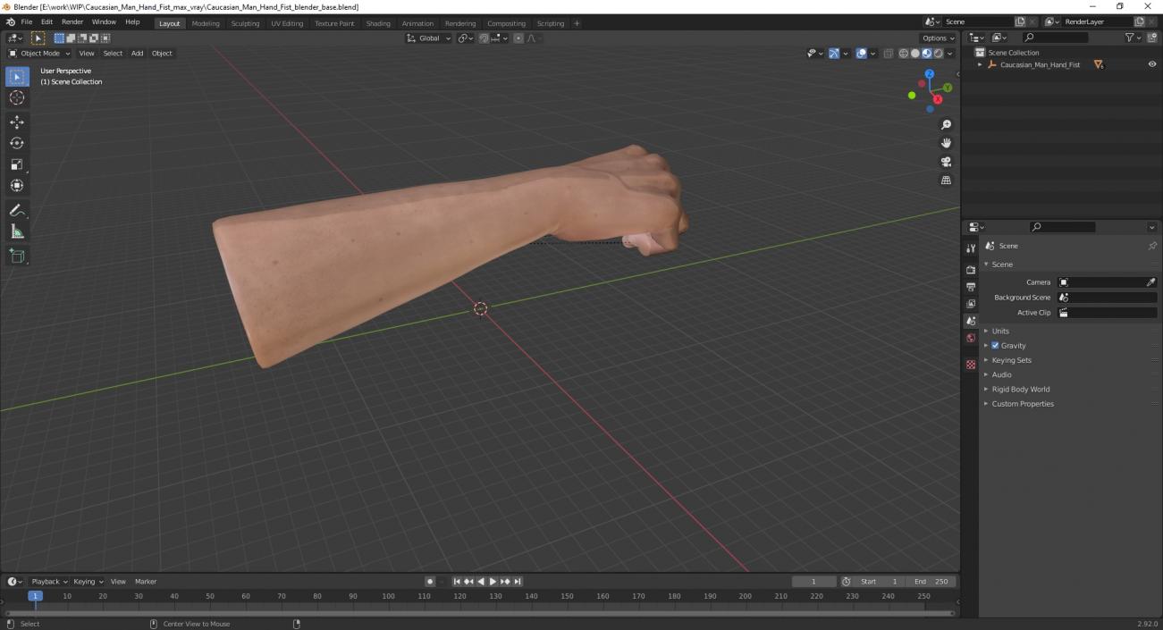 3D Caucasian Man Hand Fist model