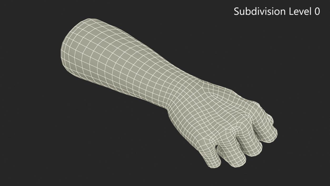 3D Caucasian Man Hand Fist model