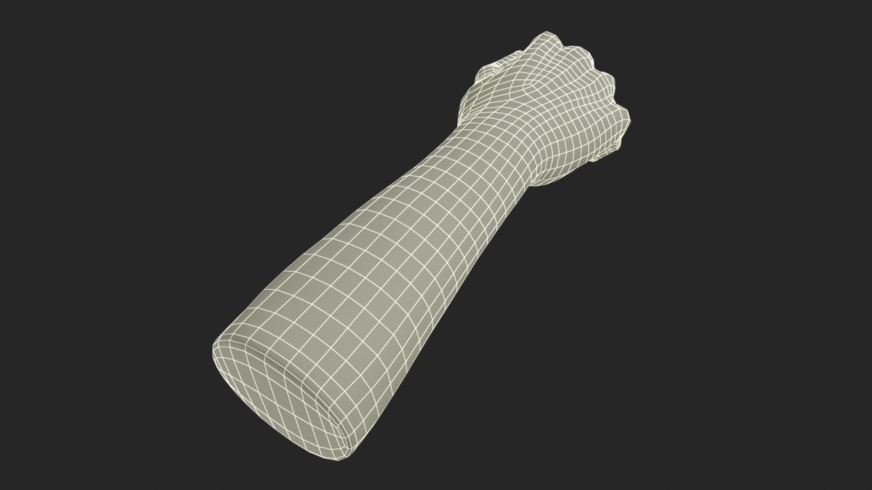 3D Caucasian Man Hand Fist model