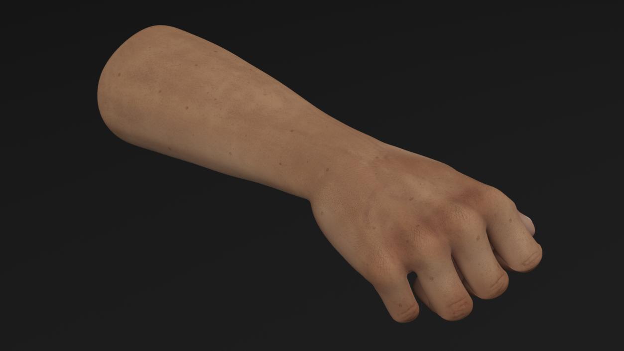 3D Caucasian Man Hand Fist model